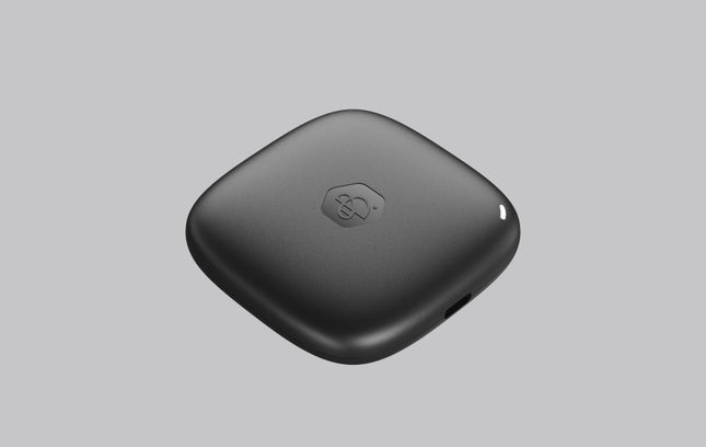 Synology BeeDrive 1TB Portable Backup SSD with AI-Powered Search
